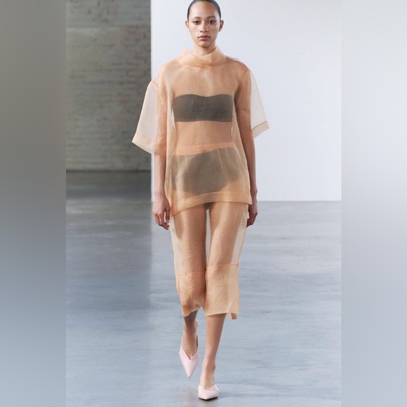 Zara Dresses & Skirts - Organza Sheer Skirt